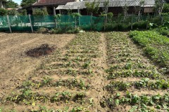 001_Viengtham_Lulut_17062025