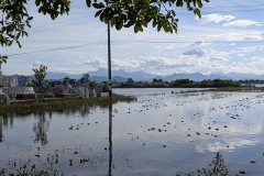 009_Viengtham_Lulut_17062025