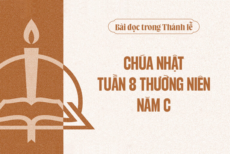 B i c th nh l ch a nh t tu n 8 th ng ni n n m c tong giao phan hue