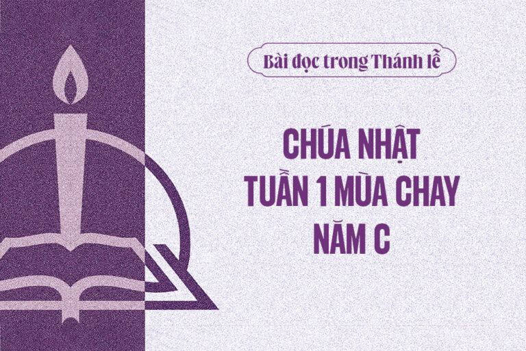 B i c th nh l ch a nh t tu n 1 m a chay n m c tong giao phan hue